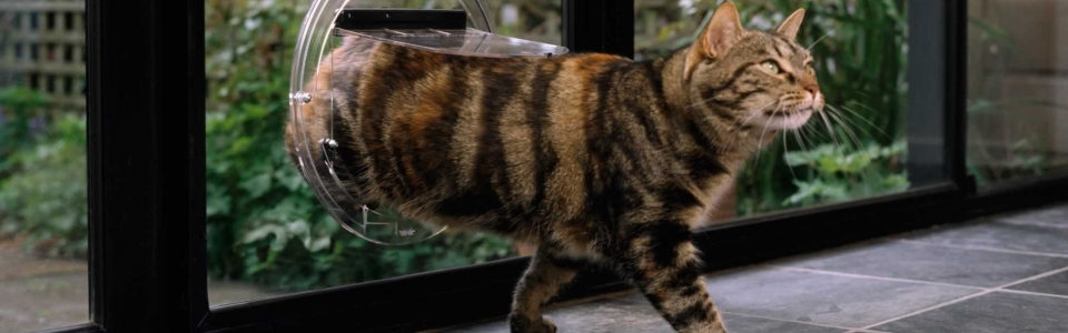 home-slider-image-01l