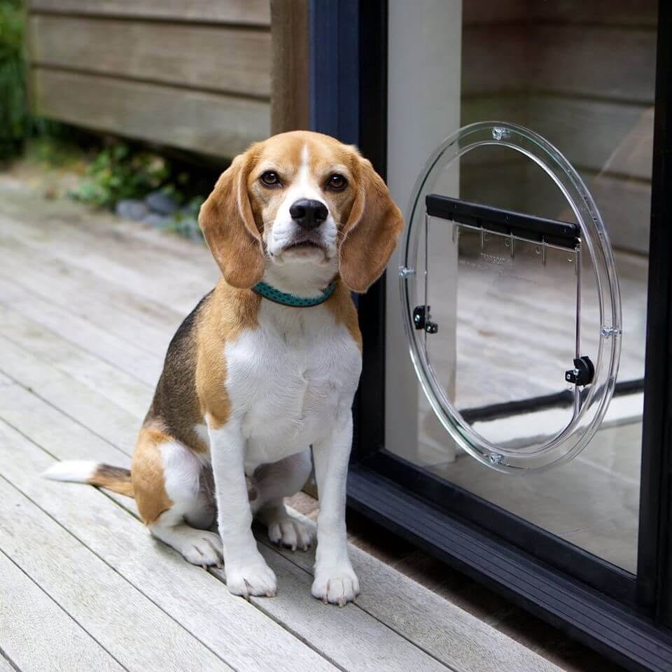 Pet Doors